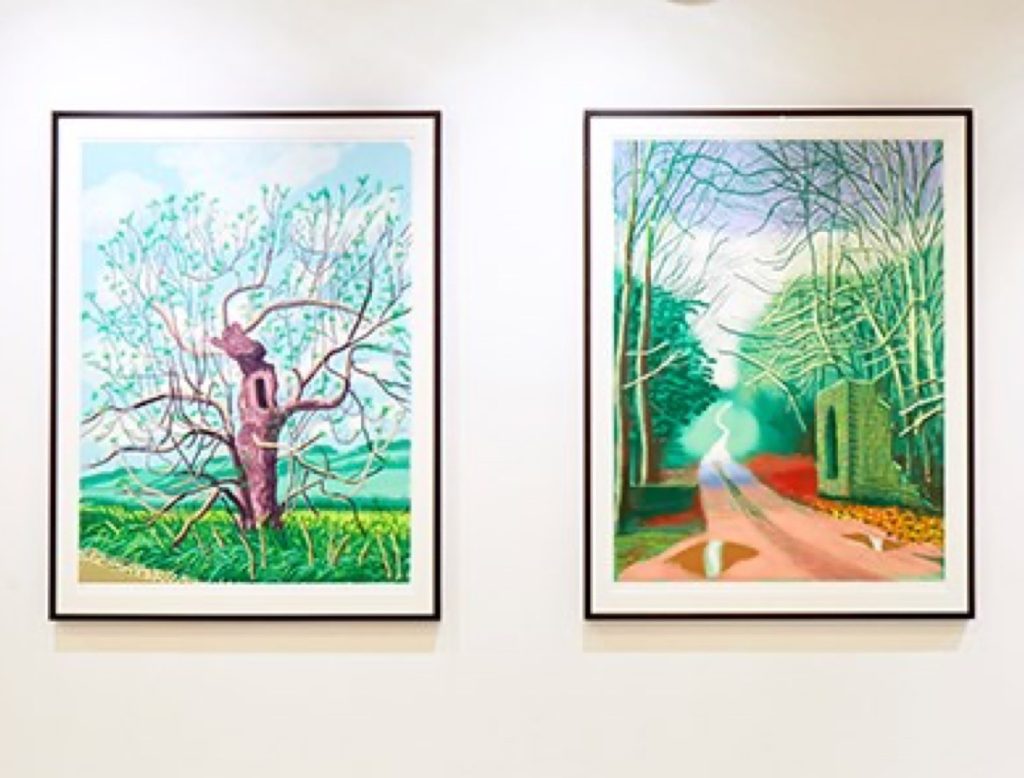 Hockney: Spring series